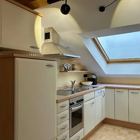 Apartment Kirschgarten Mit Infrarot-kabine *